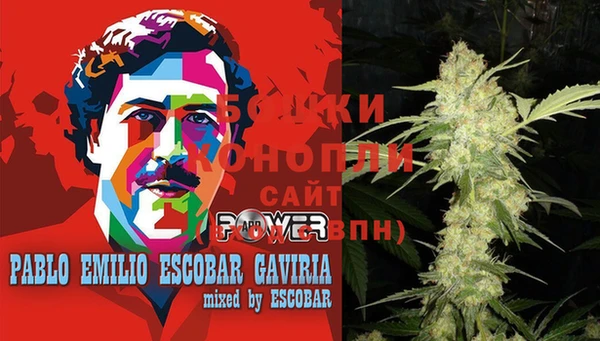 трава Аркадак