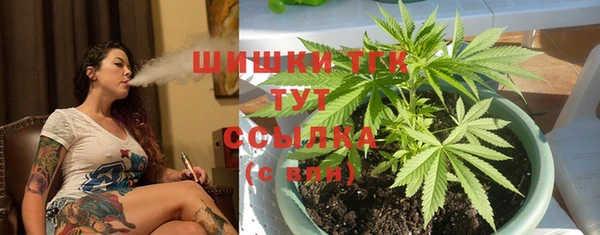 трава Аркадак