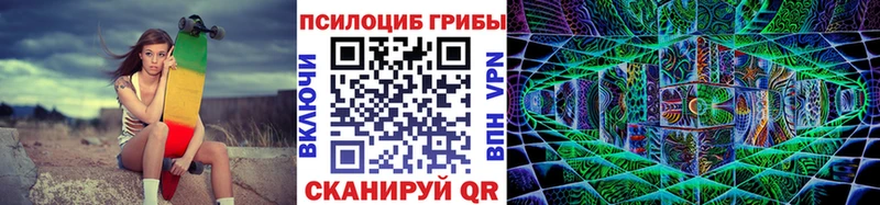 дарнет шоп  ссылка на мегу как войти  Псилоцибиновые грибы ЛСД  Козьмодемьянск 